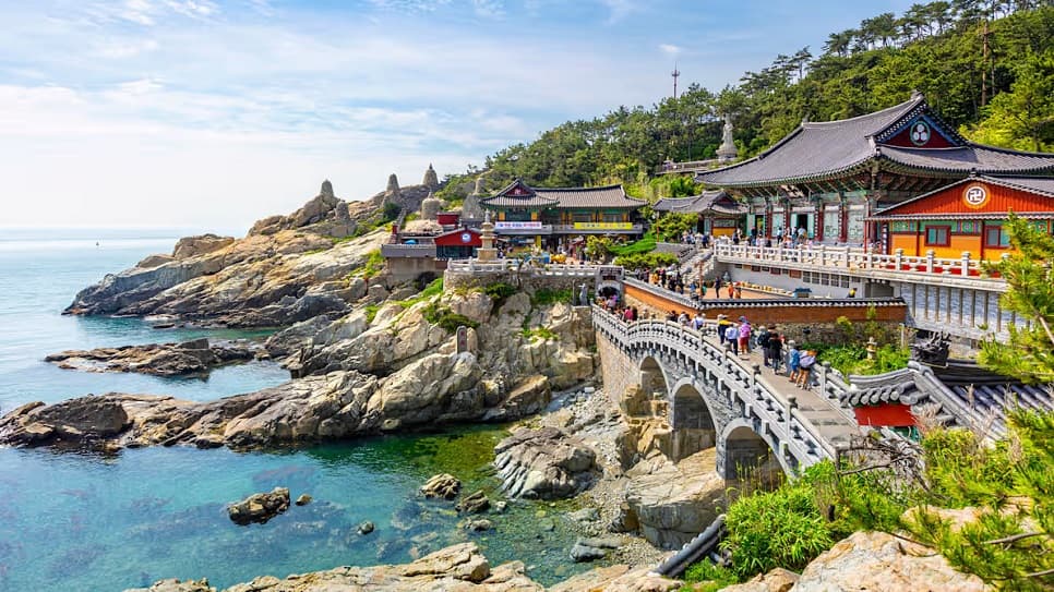 HÀN QUỐC: MÙA VÀNG CỐ ĐÔ BUSAN – GYEONGJU