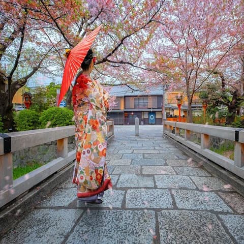 JAPAN TET 2027 TOUR: WELCOMING THE NEW SPRING