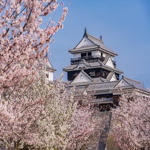 JAPAN: SPRING IN THE LAND OF THE RISING SUN - MATSUYAMA