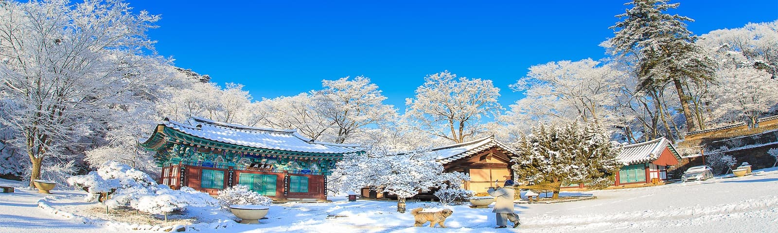 Tour Busan - Hành Trình Di Sản Hàn Quốc
