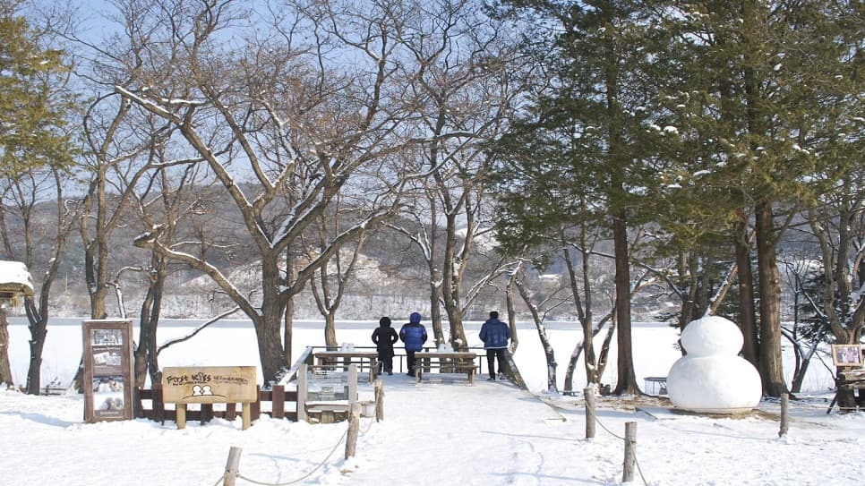 Winter scenery on Nami Island