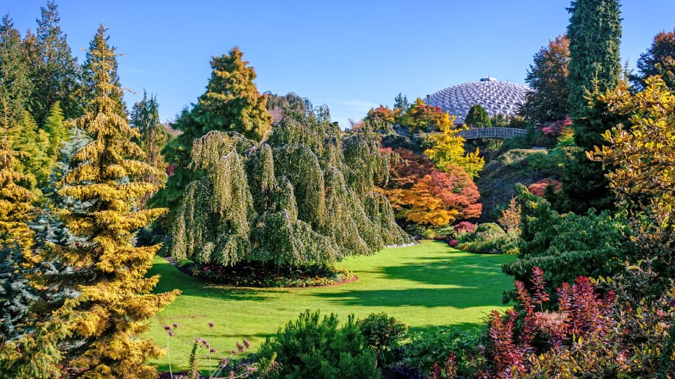 Công viên Queen Elizabeth Park