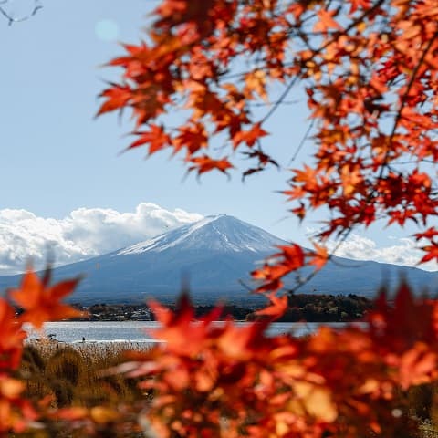 JAPAN: AUTUMN COLOR DIARY