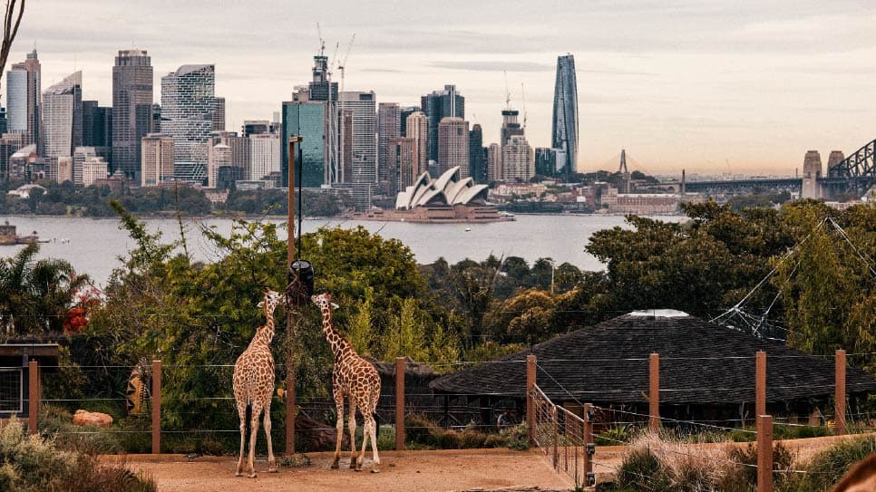 Sydney Zoo