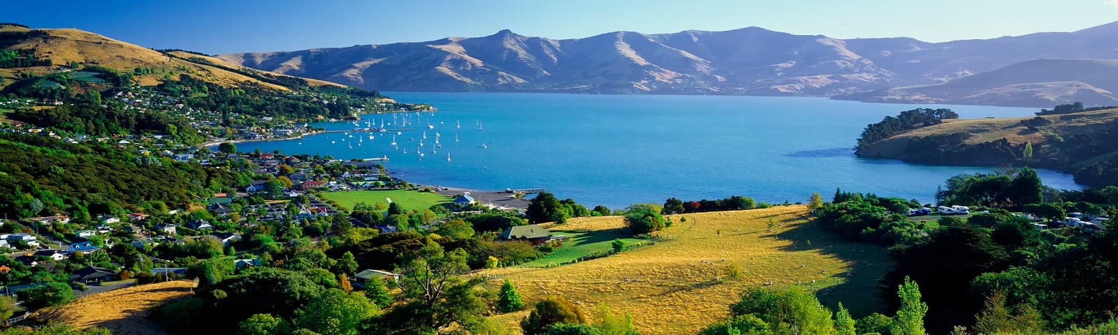 New Zealand