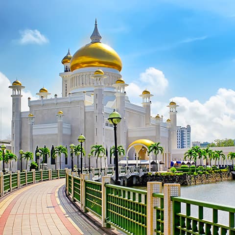 DUBAI-BRUNEI: VUI XUÂN ĐÓN TẾT NGUYÊN ĐÁN