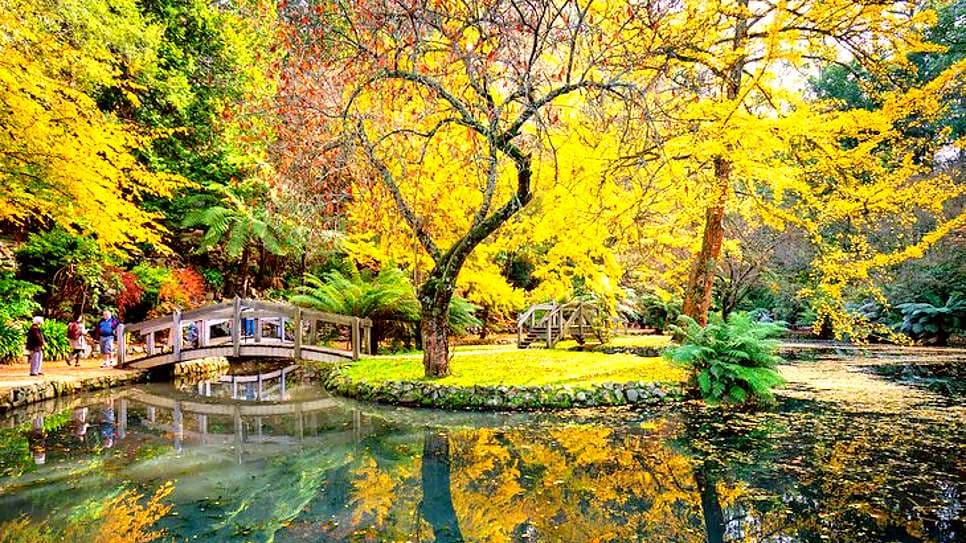 Dandenong Ranges