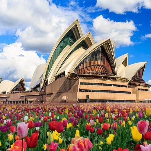ÚC (MELCANSYD): KHÁM PHÁ XỨ SỞ KANGAROO