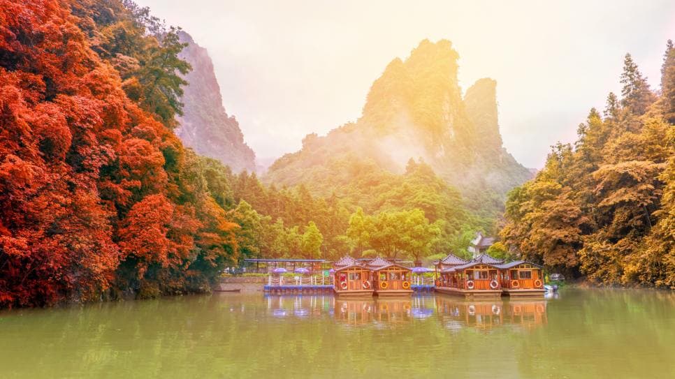 Hồ Bảo Phong