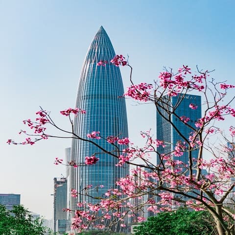 TRUNG QUỐC: HONGKONG – THÂM QUYẾN: THÀNH PHỐ HOA LỆ