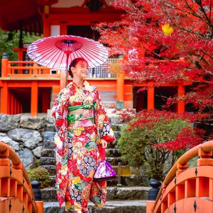 JAPAN: AUTUMN COLOURS IN THE LAND OF THE RISING SUN