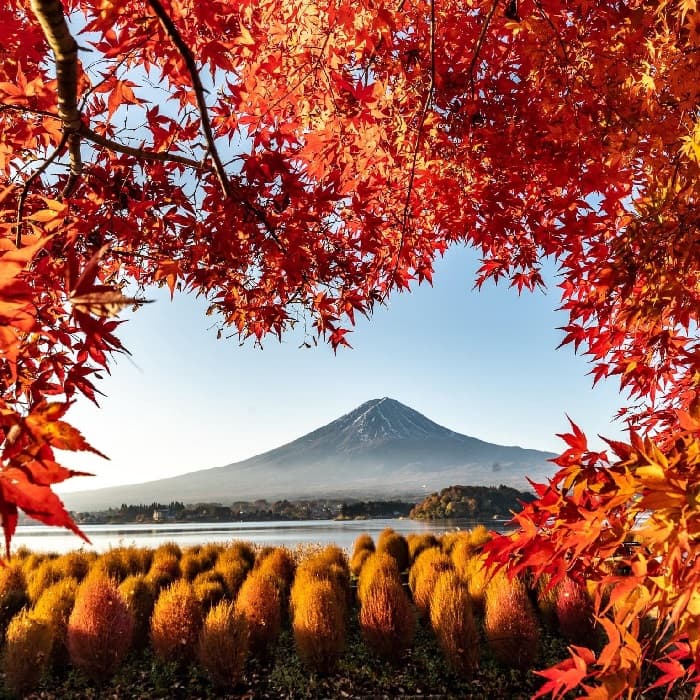 JAPAN: GOLDEN ROUTE AUTUMN OSAKA - TOKYO