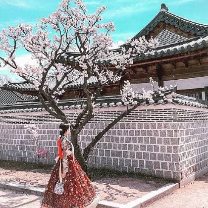 HÀN QUỐC MÙA XUÂN: SEOUL NGẬP SẮC HOA ANH ĐÀO