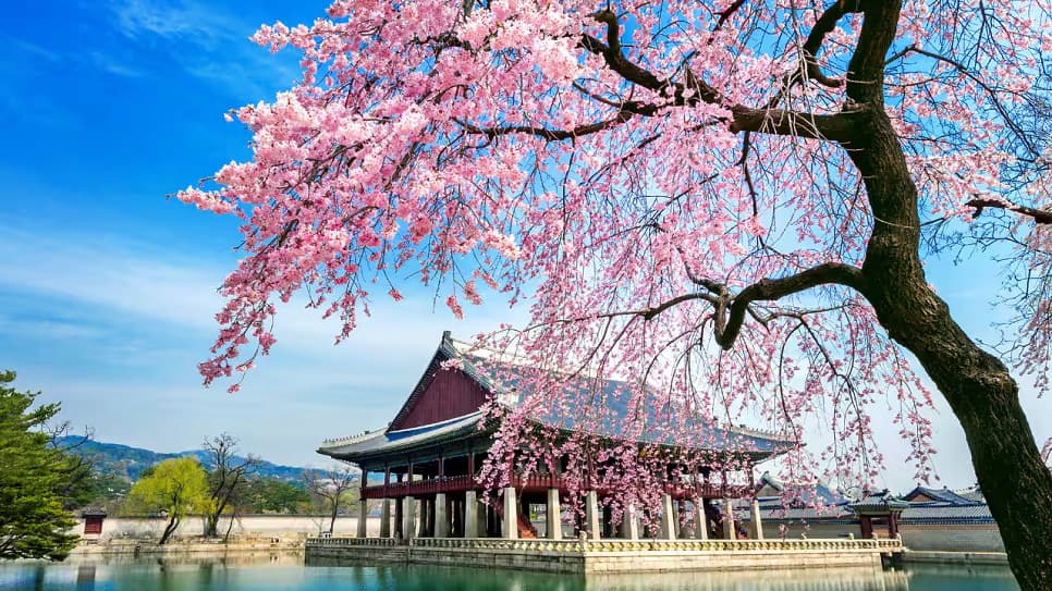 Cung điện Gyeongbokgung