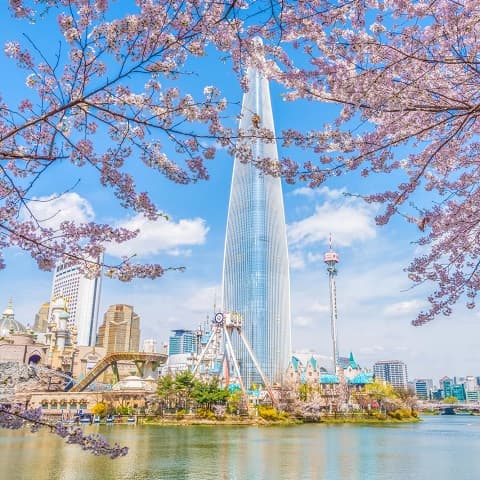 SEOUL – GYEONGJU TOUR: A SPRING MEETING POINT