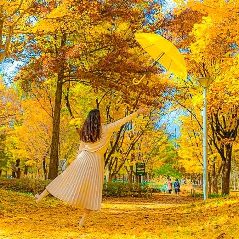 SOUTH KOREA: ROMANTIC AUTUMN IN SEOUL