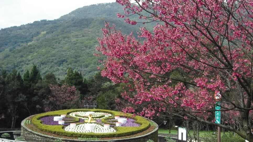 Yangmingshan National Park