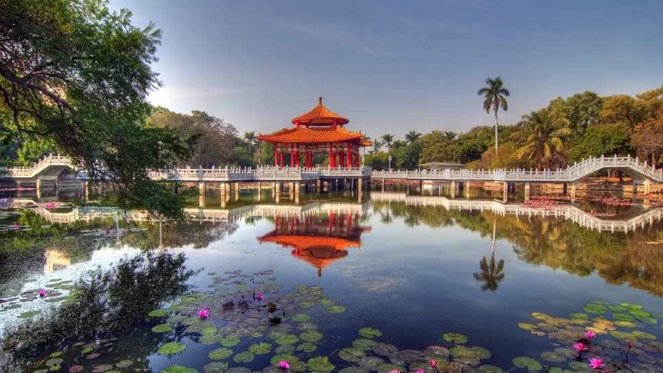 Lotus Pond
