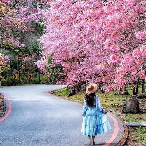 TAIWAN SPRING 2027 (FLY BR)