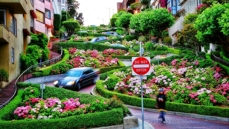 Đường hoa Lombard
