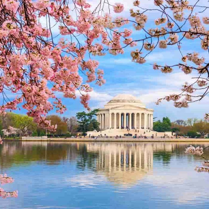 MỸ: NEW YORK – WASHINGTON SẮC XUÂN HOA ANH ĐÀO