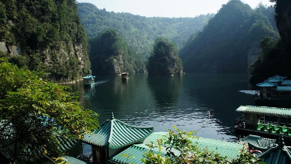 Hồ Bảo Phong