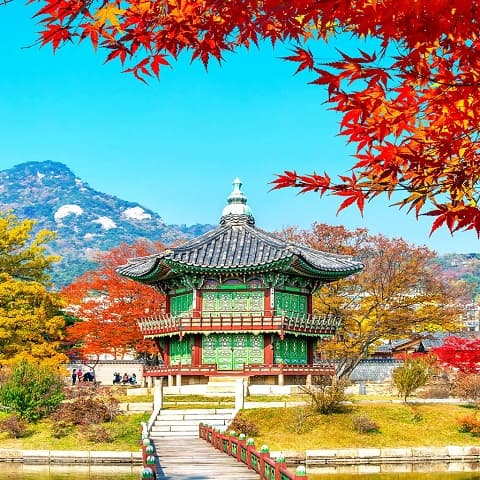 SOUTH KOREA: WELCOMING THE AUTUMN LEAVES – BUSAN – NAMI
