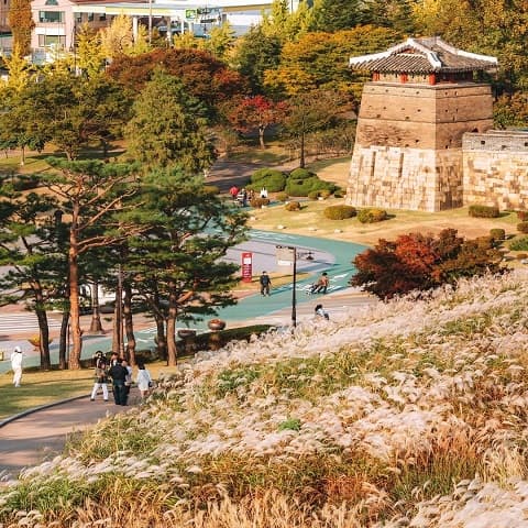 SOUTH KOREA: SEOUL AUTUMN PROMISE - NAMI