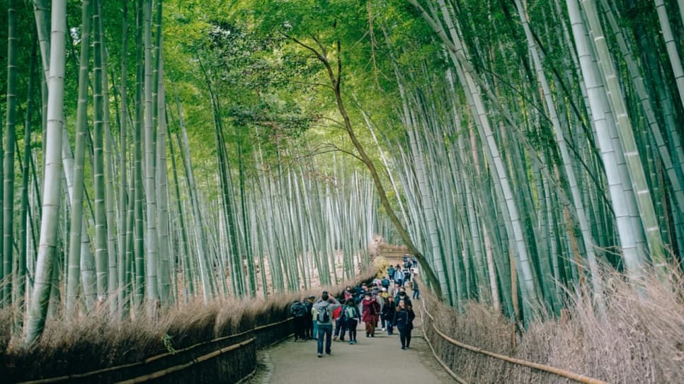 TOUR NHẬT BẢN TẾT 2027: ĐÓN MỪNG XUÂN MỚI