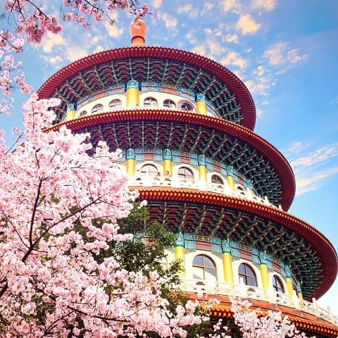 TAIWAN TOUR: THE SWEET CHERRY BLOSSOM SEASON
