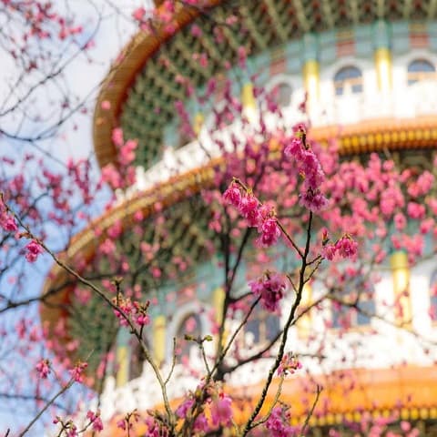 TOUR KAOHSIUNG – TAIPEI: WELCOMING SPRING ON THE JEWEL ISLAND