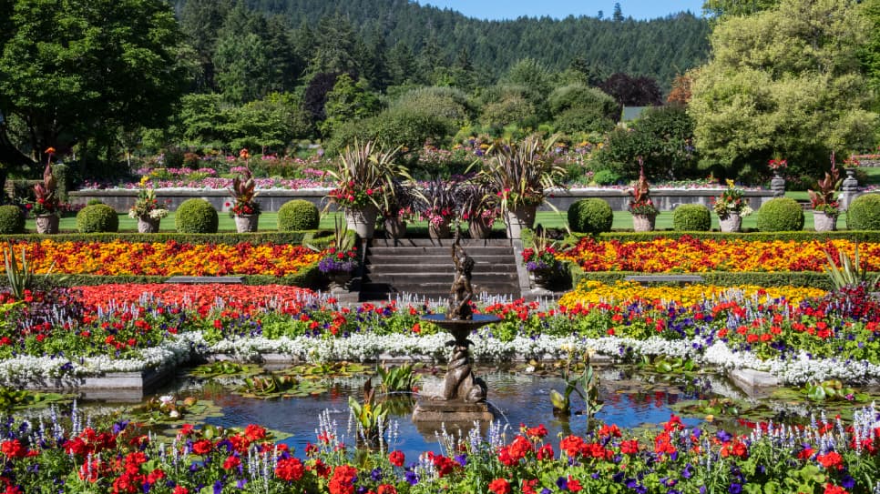 Butchart Gardens