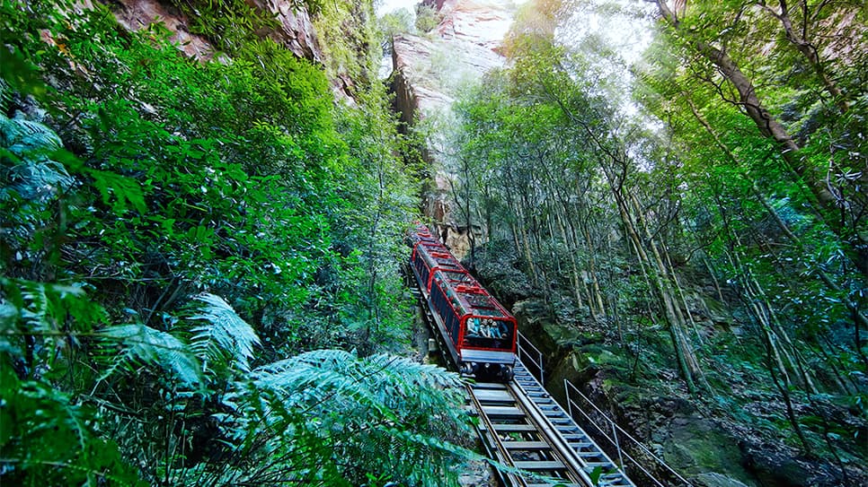 Công viên Scenic World