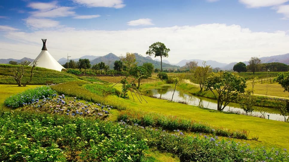 Vườn nho PB Valley Winery