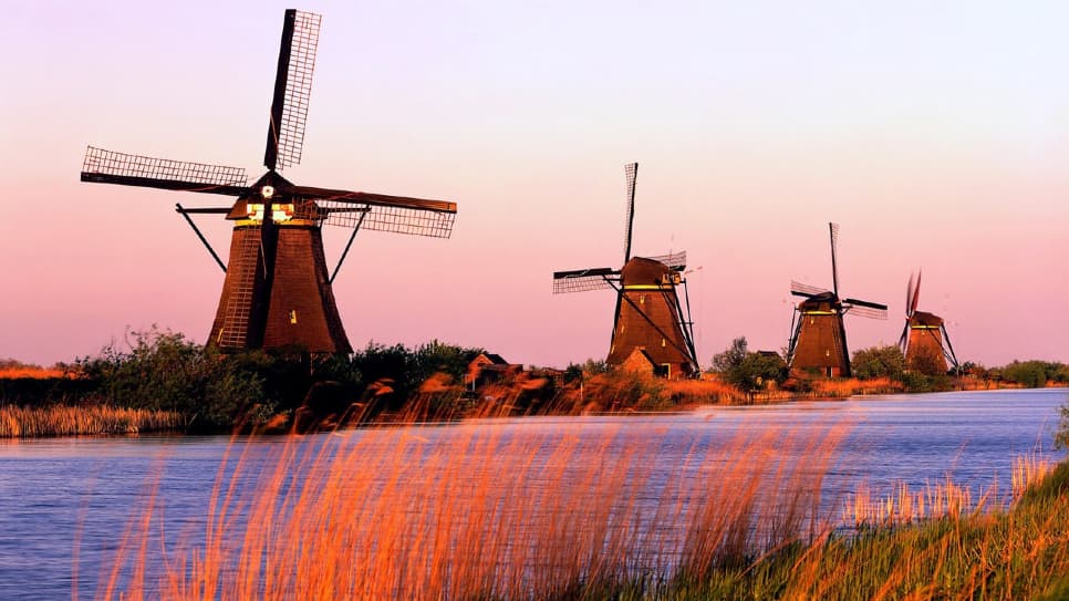 Cối xay gió Zaanse Schans